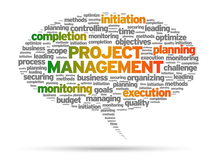 professional project management